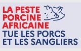 Lutte contre la peste porcine africaine